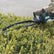Makita DUH507Z 18V LXT 500mm Hedge Trimmer Body Only