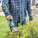 Makita DUM604ZX 18V LXT Cordless Grass Shear Body Only