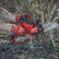 Milwaukee M18FHS20-0 18V Fuel Brushless Pruning Saw Body Only 4933480117