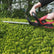Excel 18V 410mm Hedge Trimmer Cutter Body Only (No Battery & Charger)