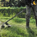 Dewalt DCMAS5713N 54V XR FlexVolt Brushless Split Boom Body Only