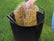 Faithfull 42 Litres Heavy-Duty Polyethylene Flex Black Tub FAIFLEX42B